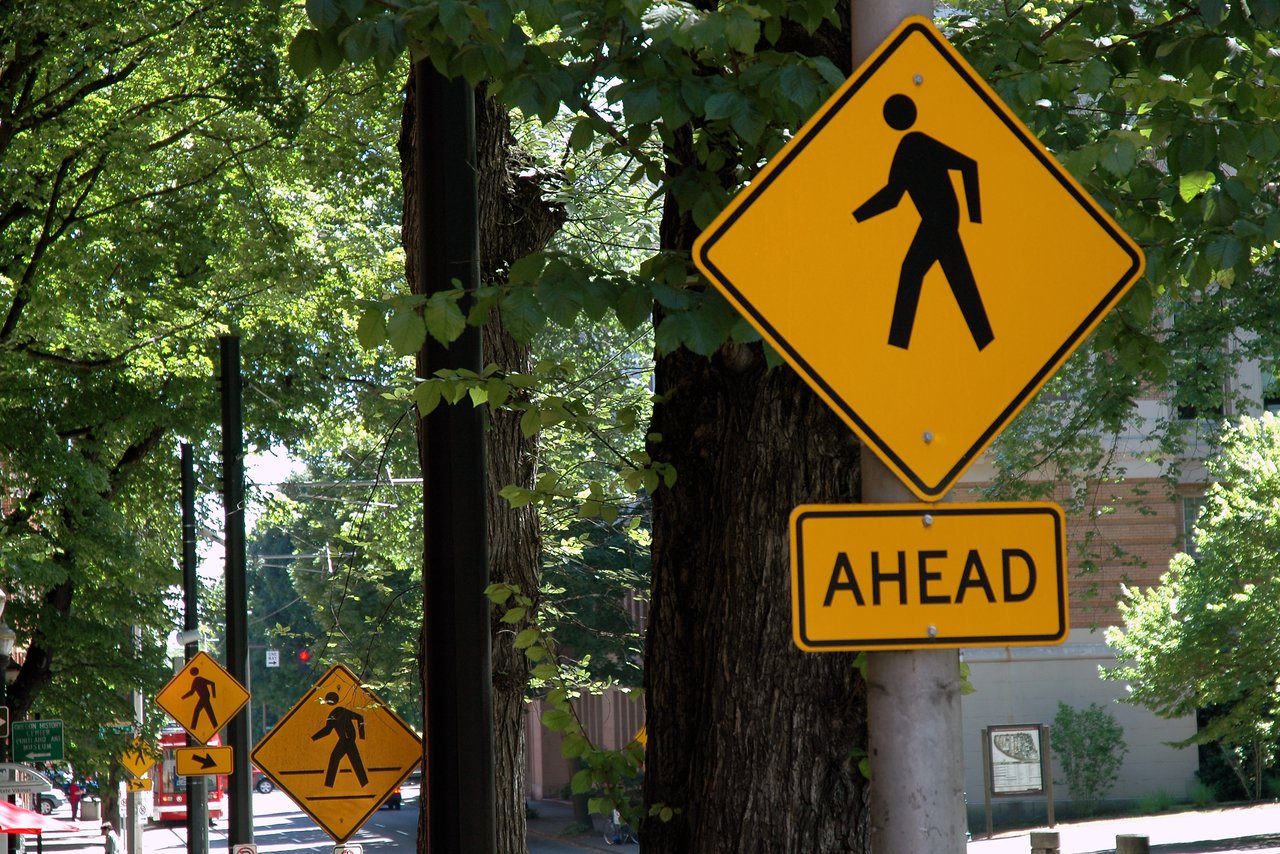 Multiple pedestrian crossing signs along a tree-lined street, with the closest sign reading "AHEAD" below a walking symbol.