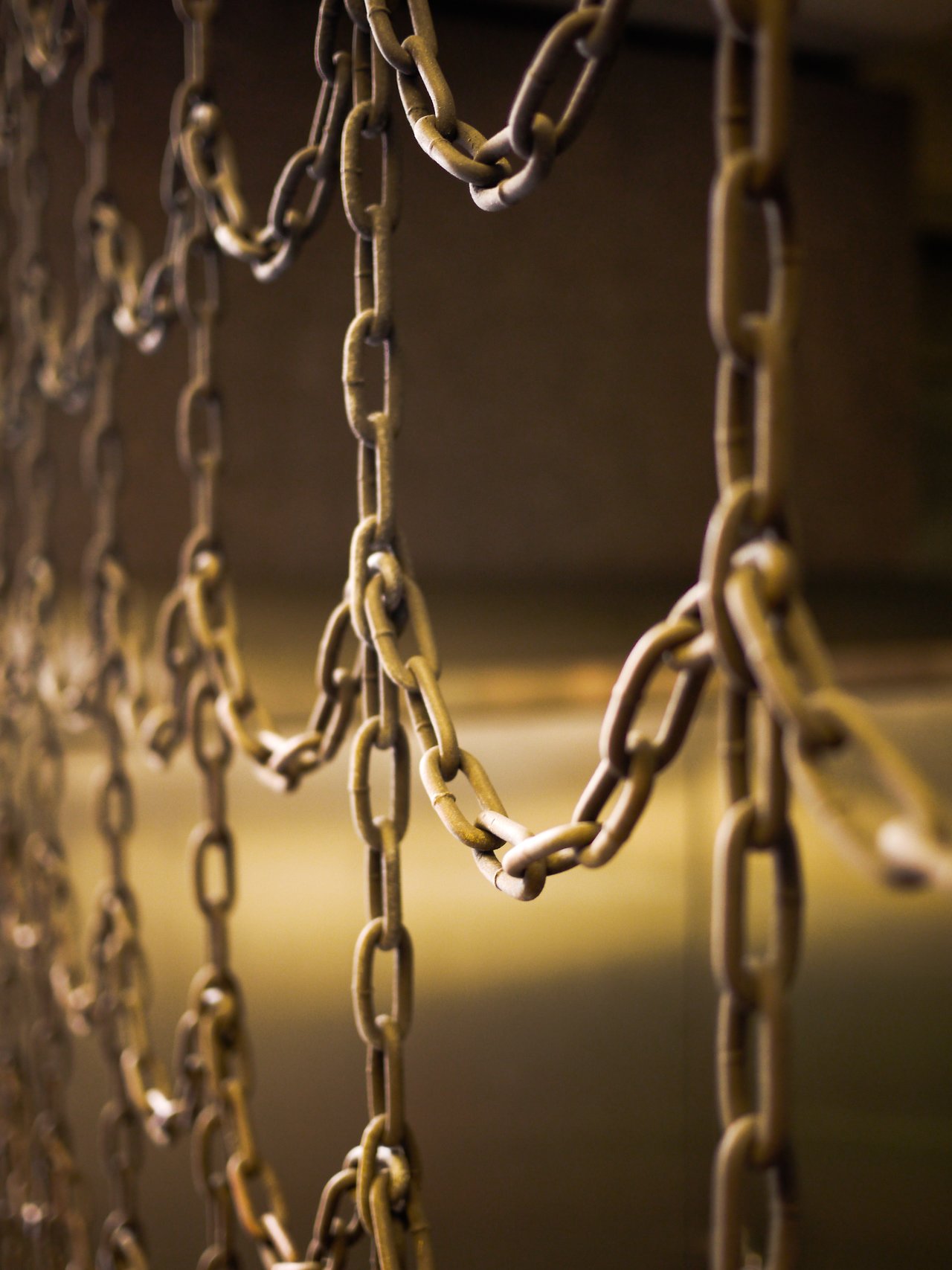 Close-up of several hanging metal chains with a blurred background.