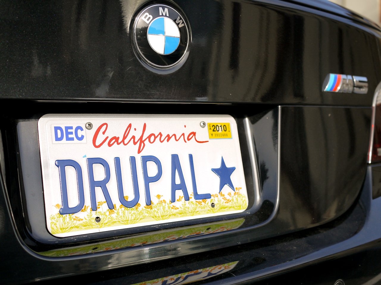 A California license plate on a black BMW reads "DRUPAL" with a blue star symbol.