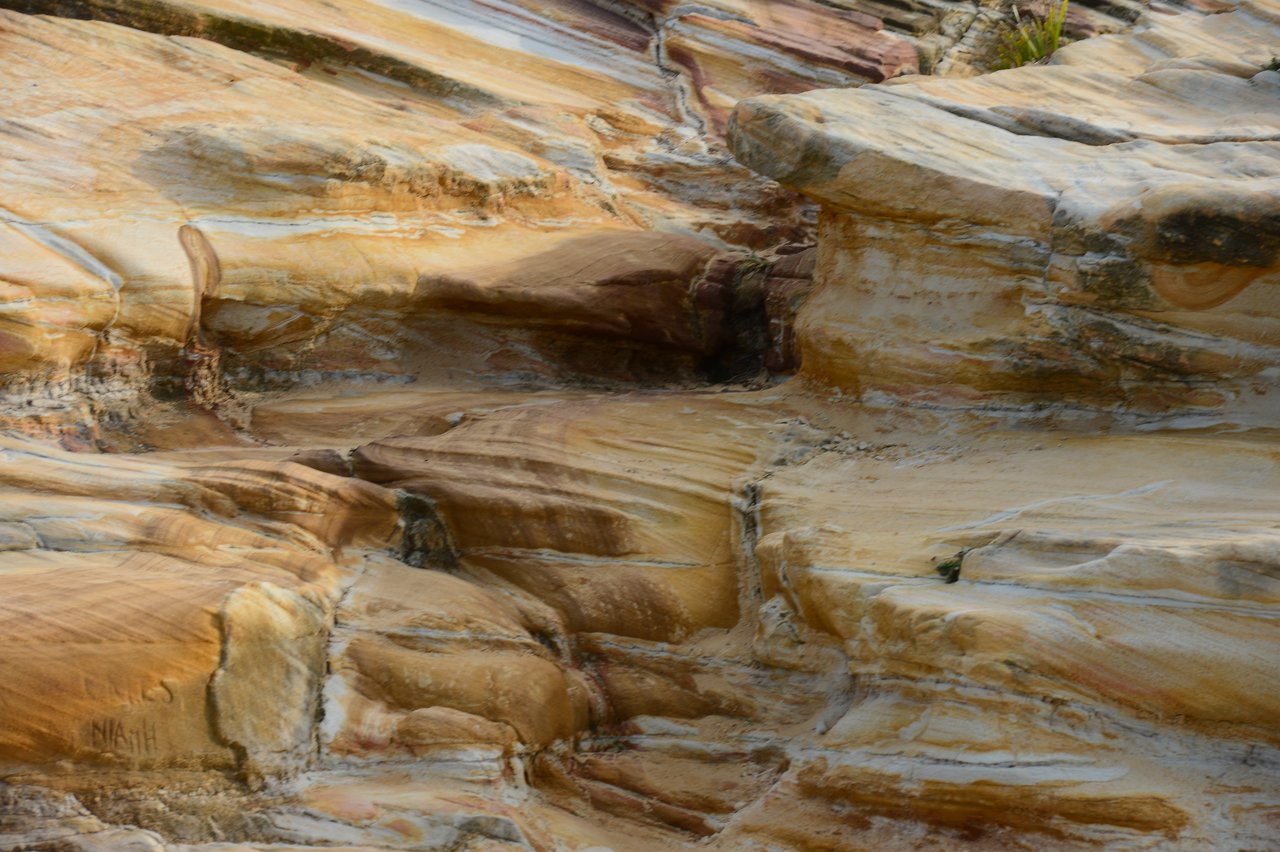 Eroded sandstone rocks with layered textures and smooth surfaces at Coogee Beach.