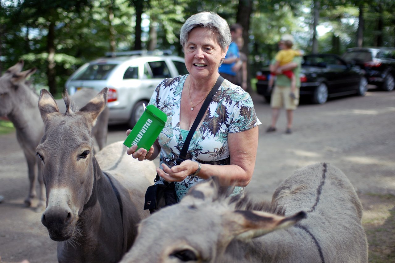 An older woman feeds donkeys from a green container while standing outdoors in a wooded area with parked cars nearby.
