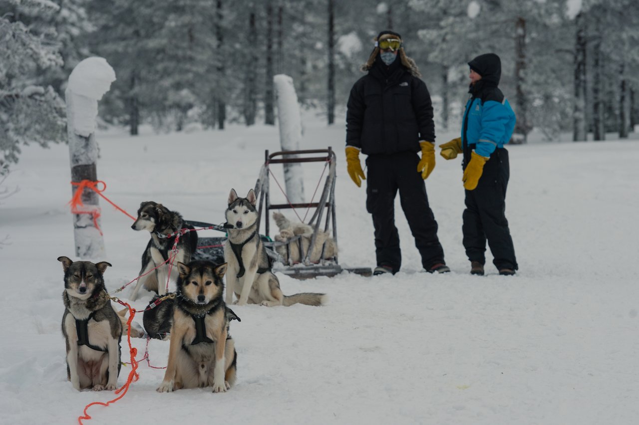 A team of sled dogs waits in the snow while two people in winter gear stand nearby.
