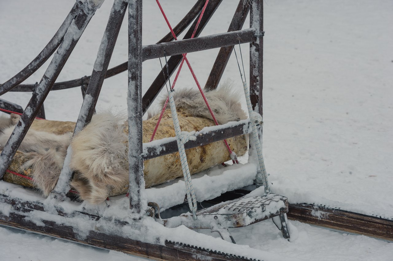 A snow-covered dog sled with fur padding, ready for a ride in a winter landscape.