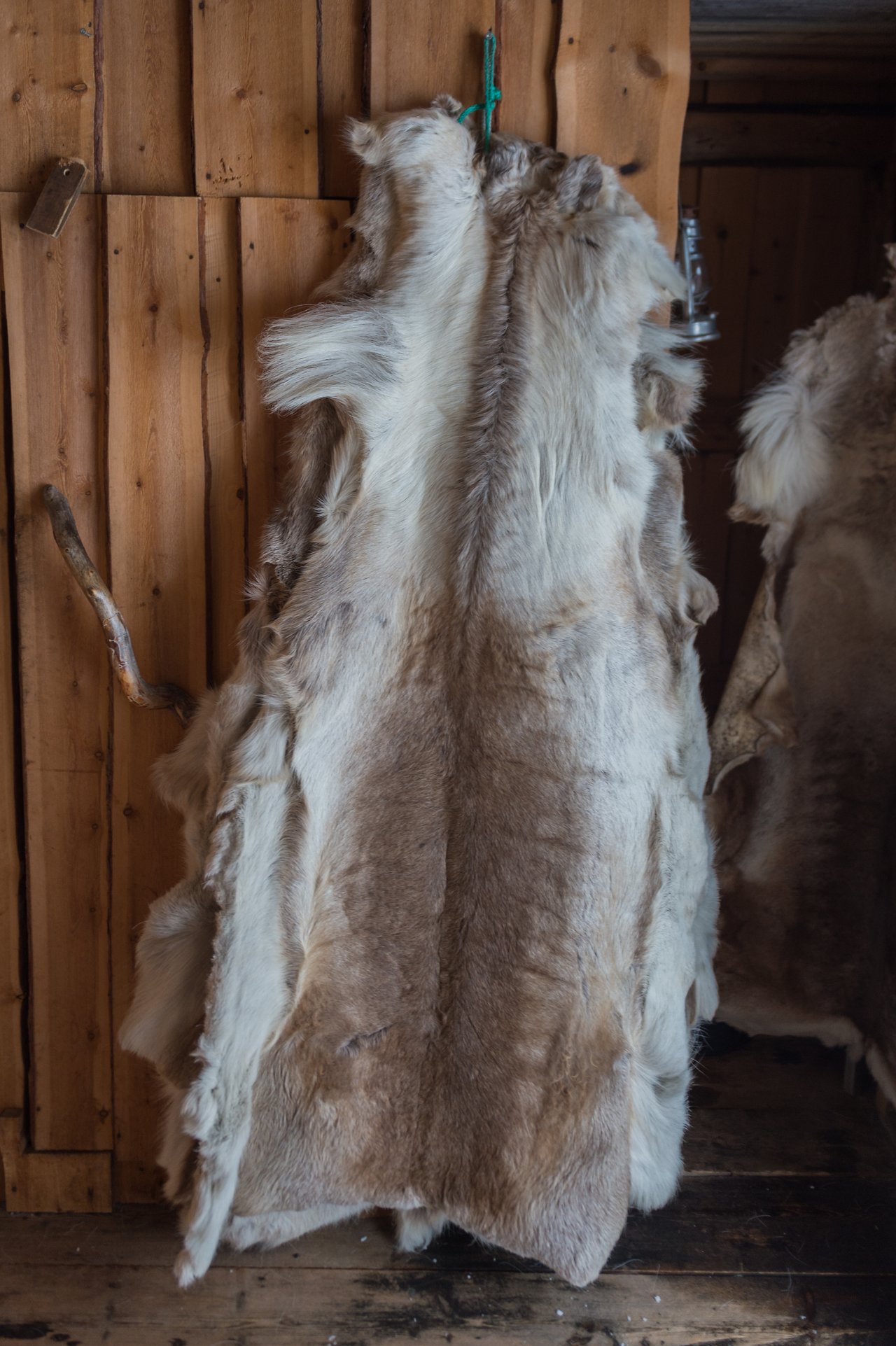 A reindeer hide hangs on a wooden wall inside a rustic farm building.