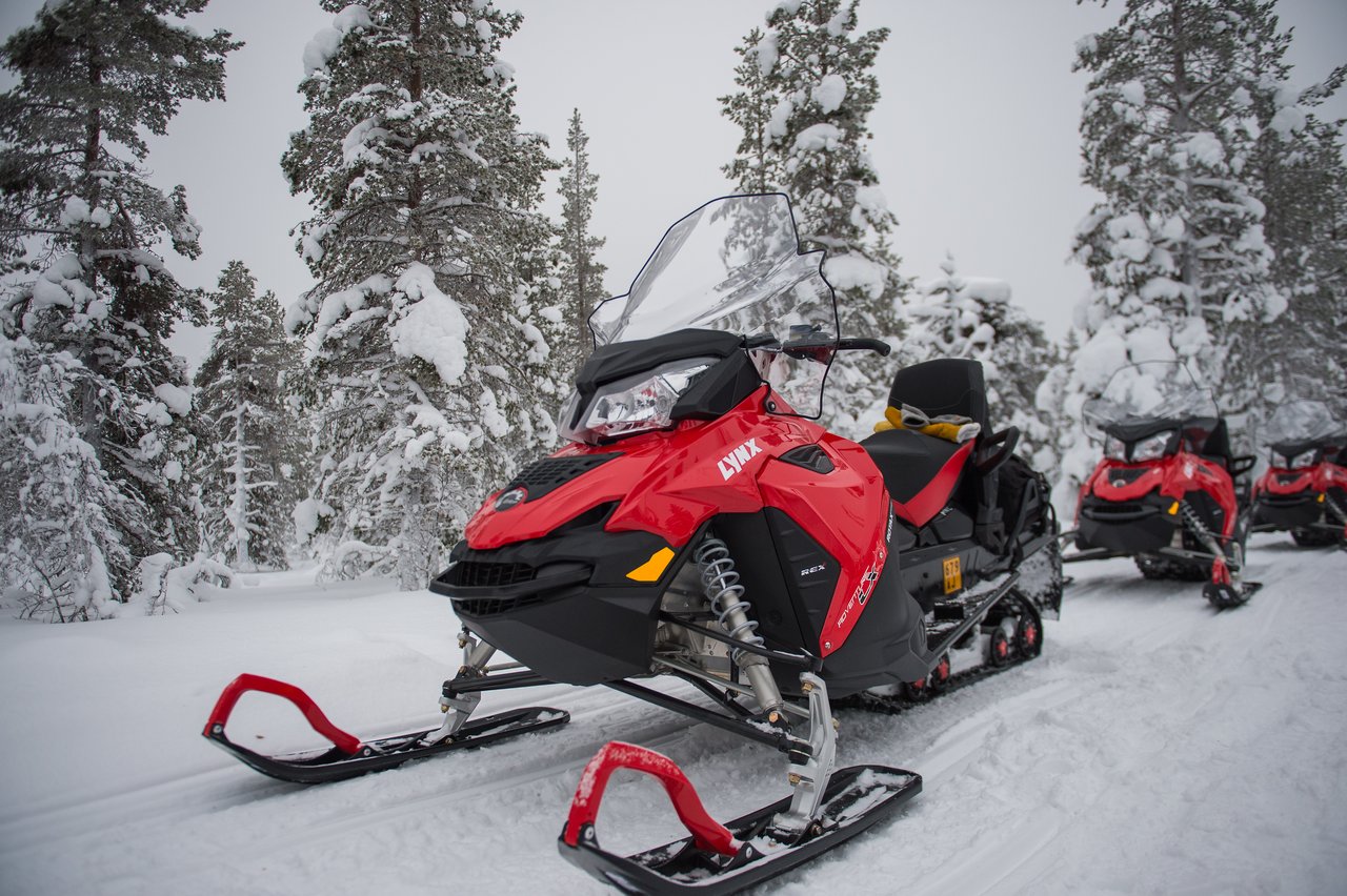 Red snowmobiles parked on a snowy trail surrounded by snow-covered trees in Lapland.