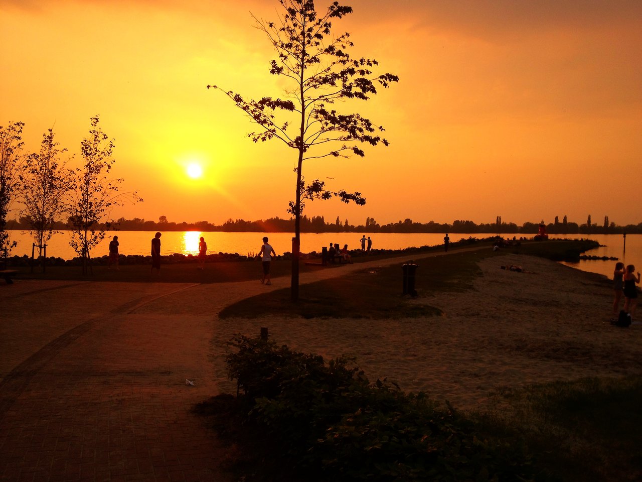People walk and relax by a lake at sunset, with trees and a sandy shore in the foreground.