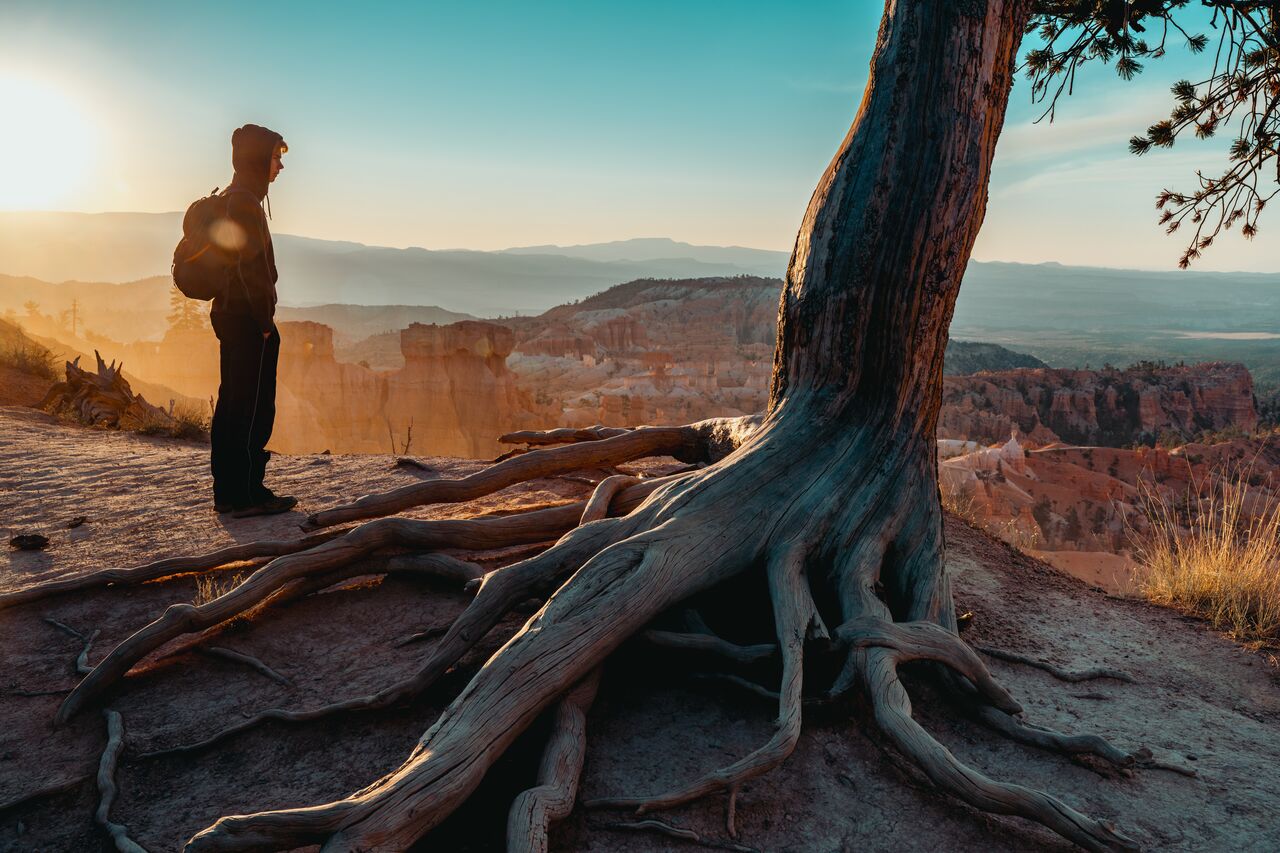 A young adult wearing a hoodie overlooking the hoodoos at sunrise in Bryce Canyon National Park.