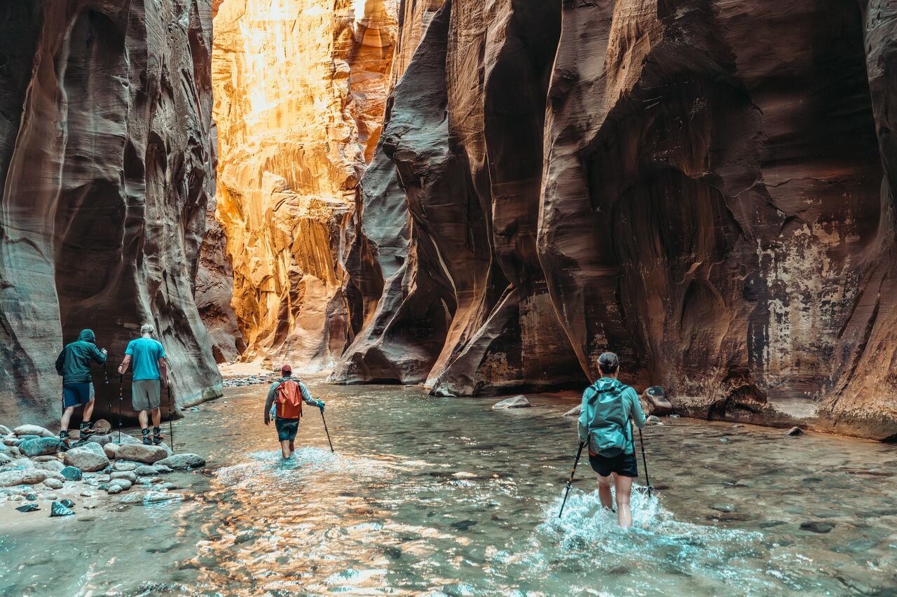 A small group walking through water into the Narrows, a narrow canyon with glowing rock walls in Zion National Park.