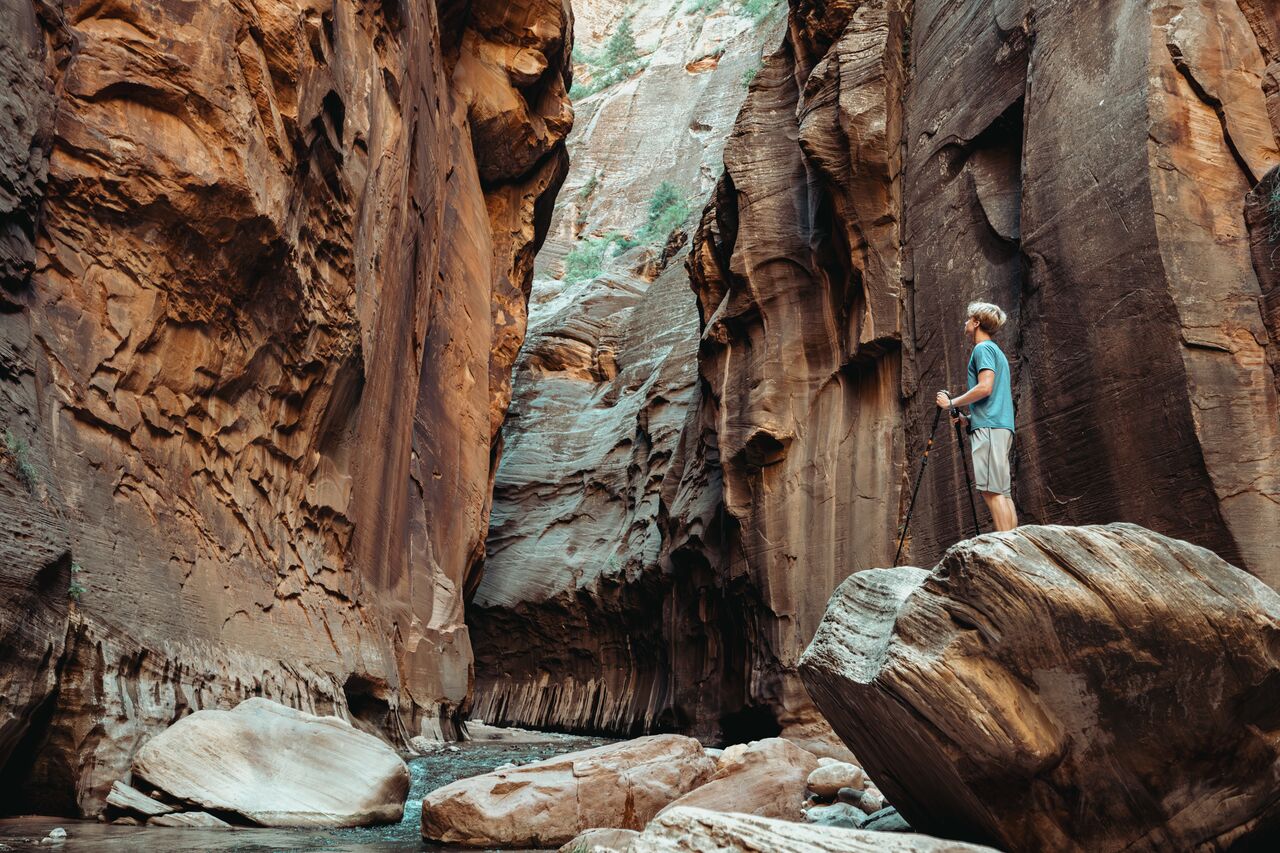 A person standing on a rock in the Narrows at Zion National Park, looking up at the tall canyon walls.
