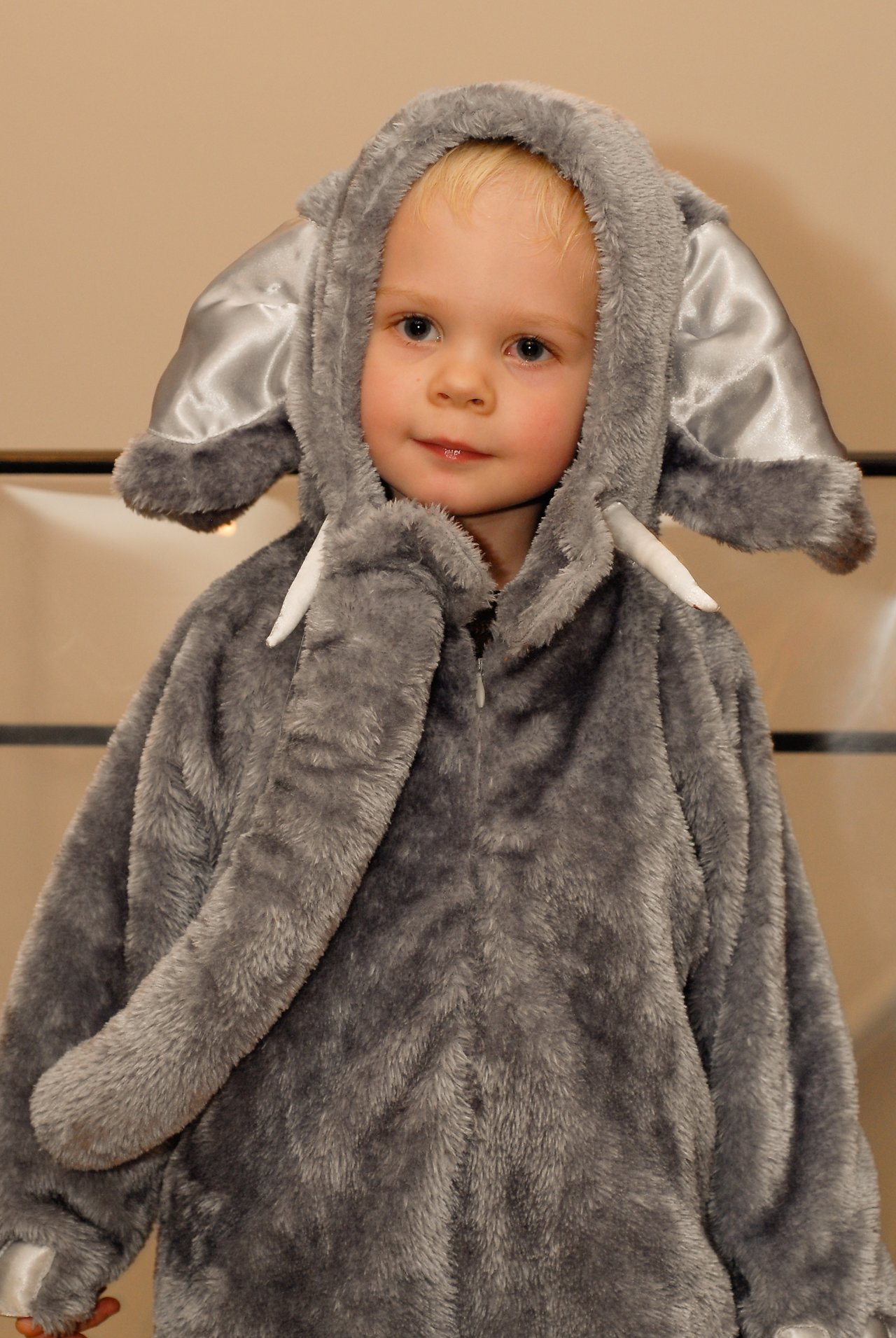 A young child wears a fuzzy elephant costume with large ears and a trunk, looking at the camera.