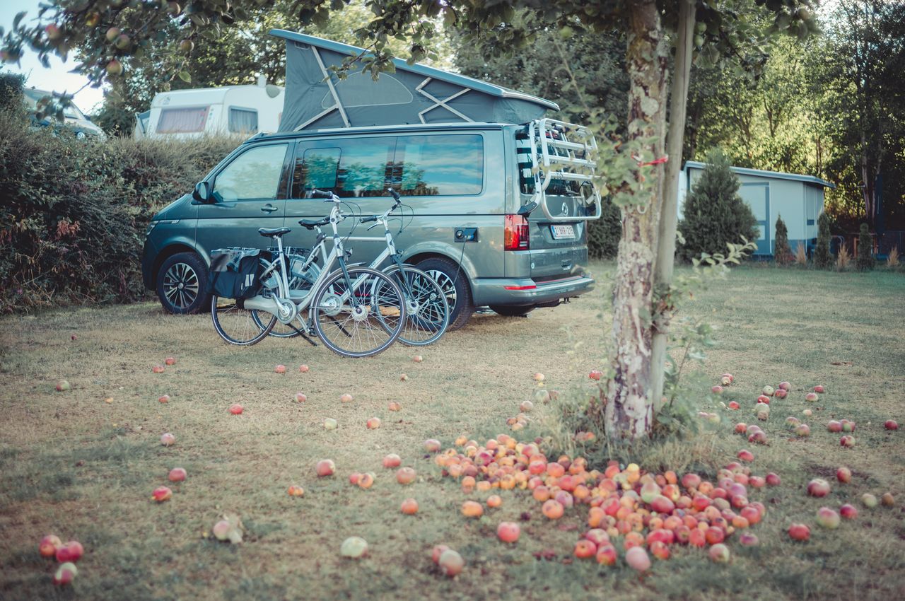 A camper van is parked next to an apple tree with fallen apples and two bicycles leaning against it.