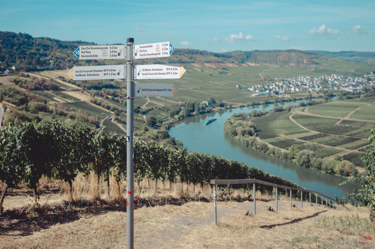 Moselle valley