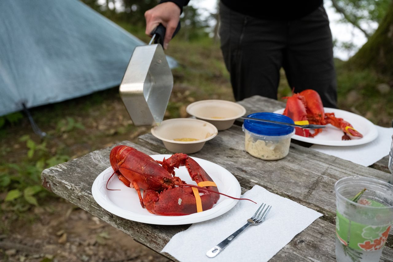 A person prepares to crack open a lobster at a campsite table with plates of cooked lobster and side dishes.
