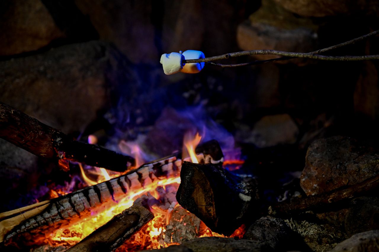 Two marshmallows roasting on a stick over a campfire, with glowing embers and flames in the background.