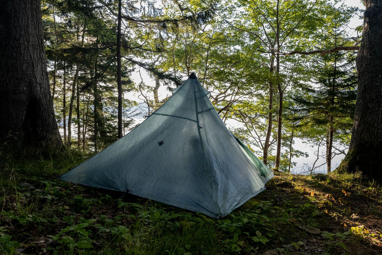 A tent set up in a wooded campsite near the water, with morning light filtering through the trees.