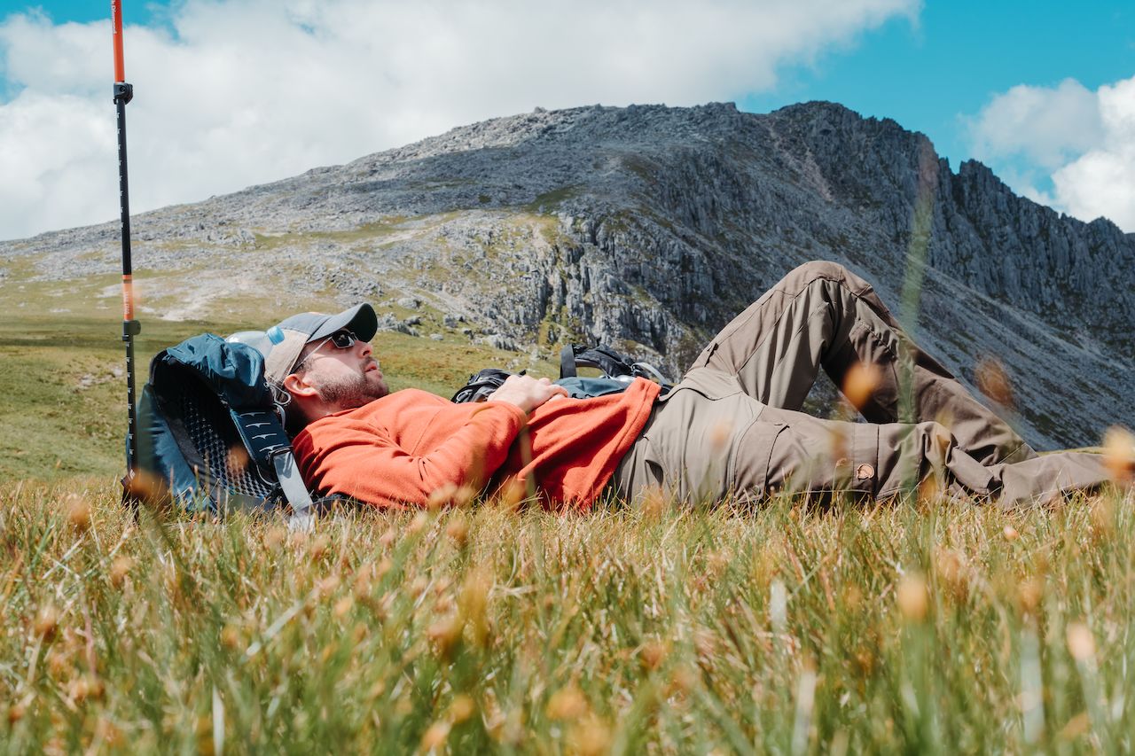 Dries resting in the grass