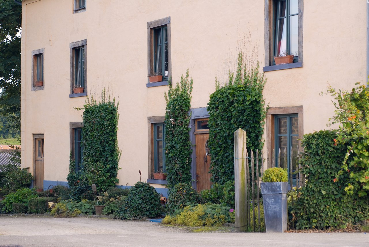 A beige house with wooden windows, green ivy climbing the walls, and potted plants near the entrance.