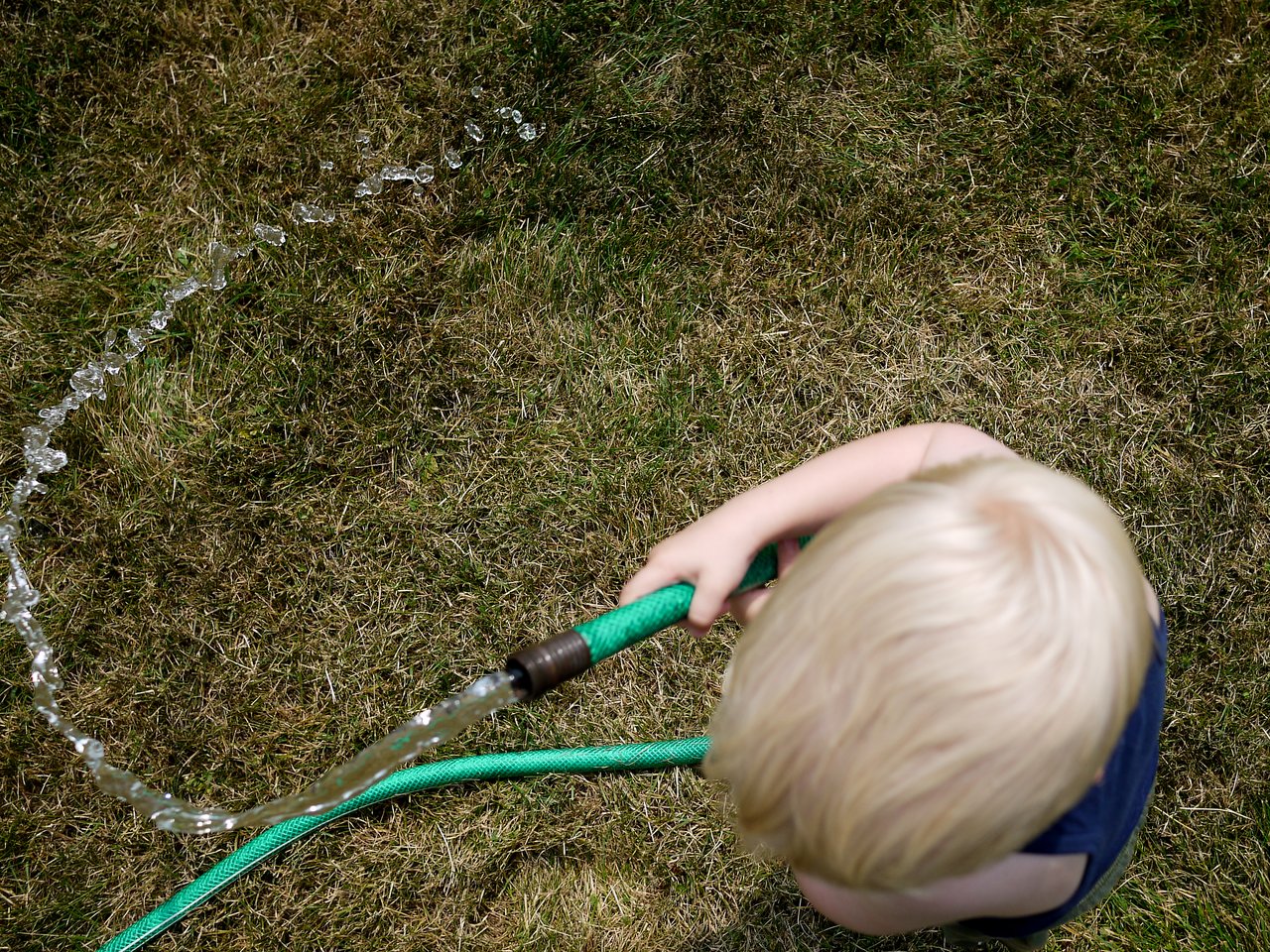 A young child holds a green garden hose, spraying water onto the grass.
