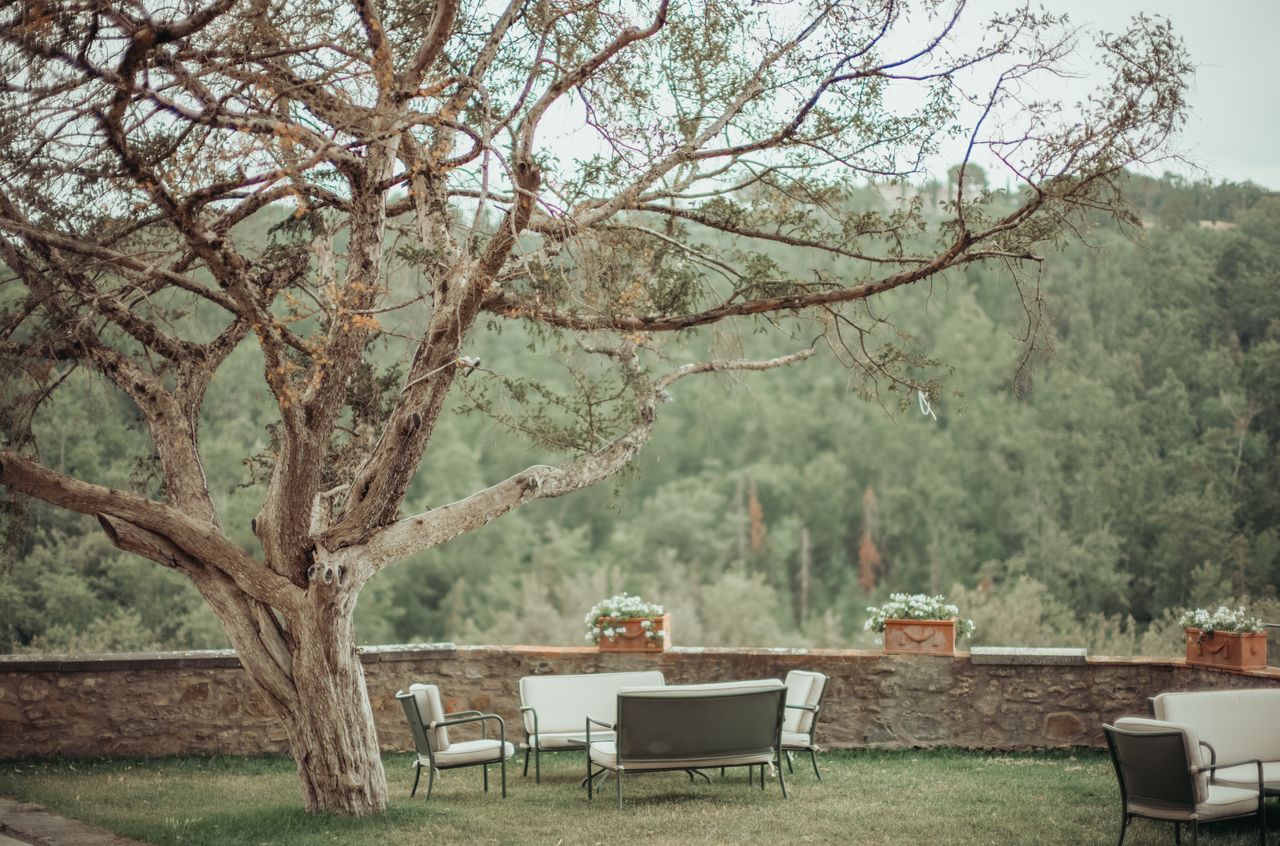 Outdoor garden with seating under a large tree, overlooking green hills.