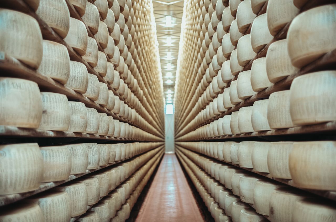 Rows of large Parmigiano Reggiano cheese wheels stacked on shelves in a storage facility.