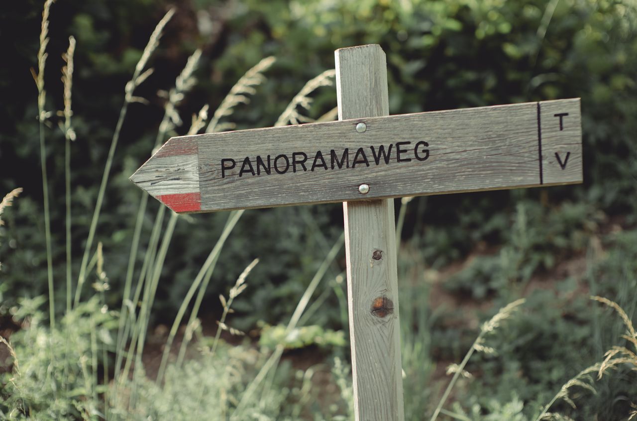 A wooden signpost with "Panoramaweg" written on it, pointing towards a hiking trail surrounded by greenery.