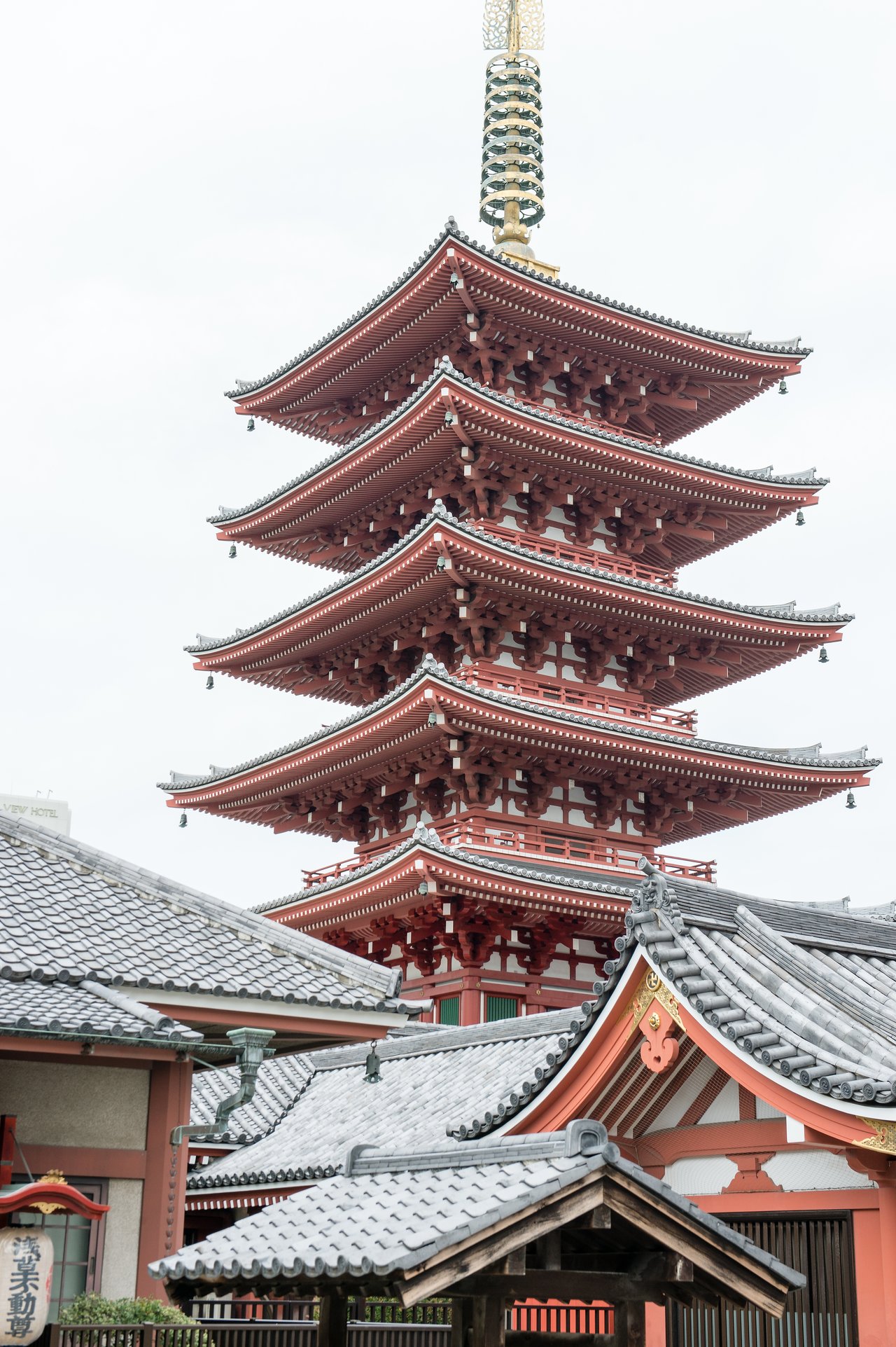 A traditional five-story pagoda with red and white details stands among temple buildings with gray tiled roofs in Japan.