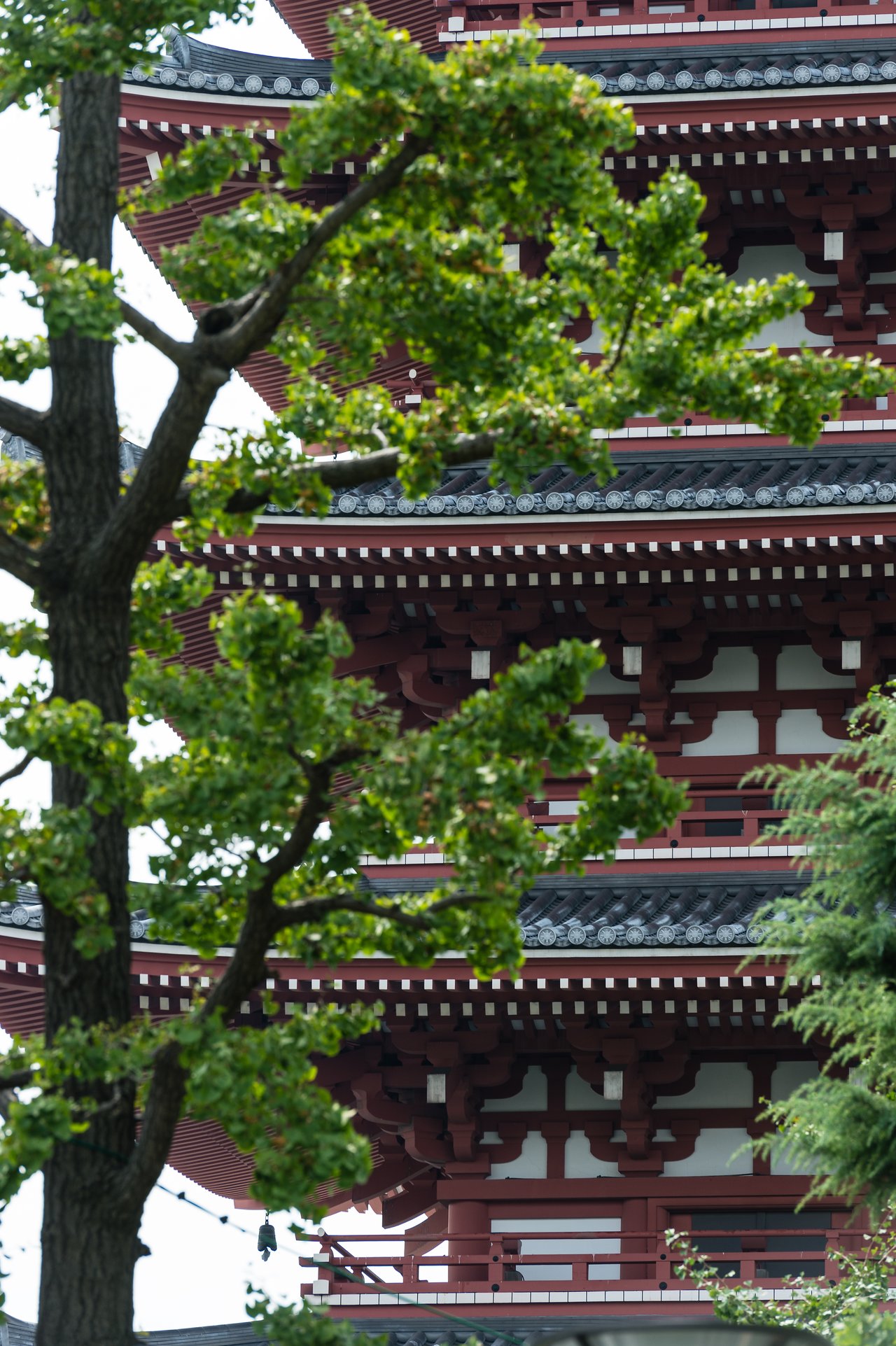 A traditional Japanese pagoda with red and white details, partially obscured by green tree branches in the foreground.