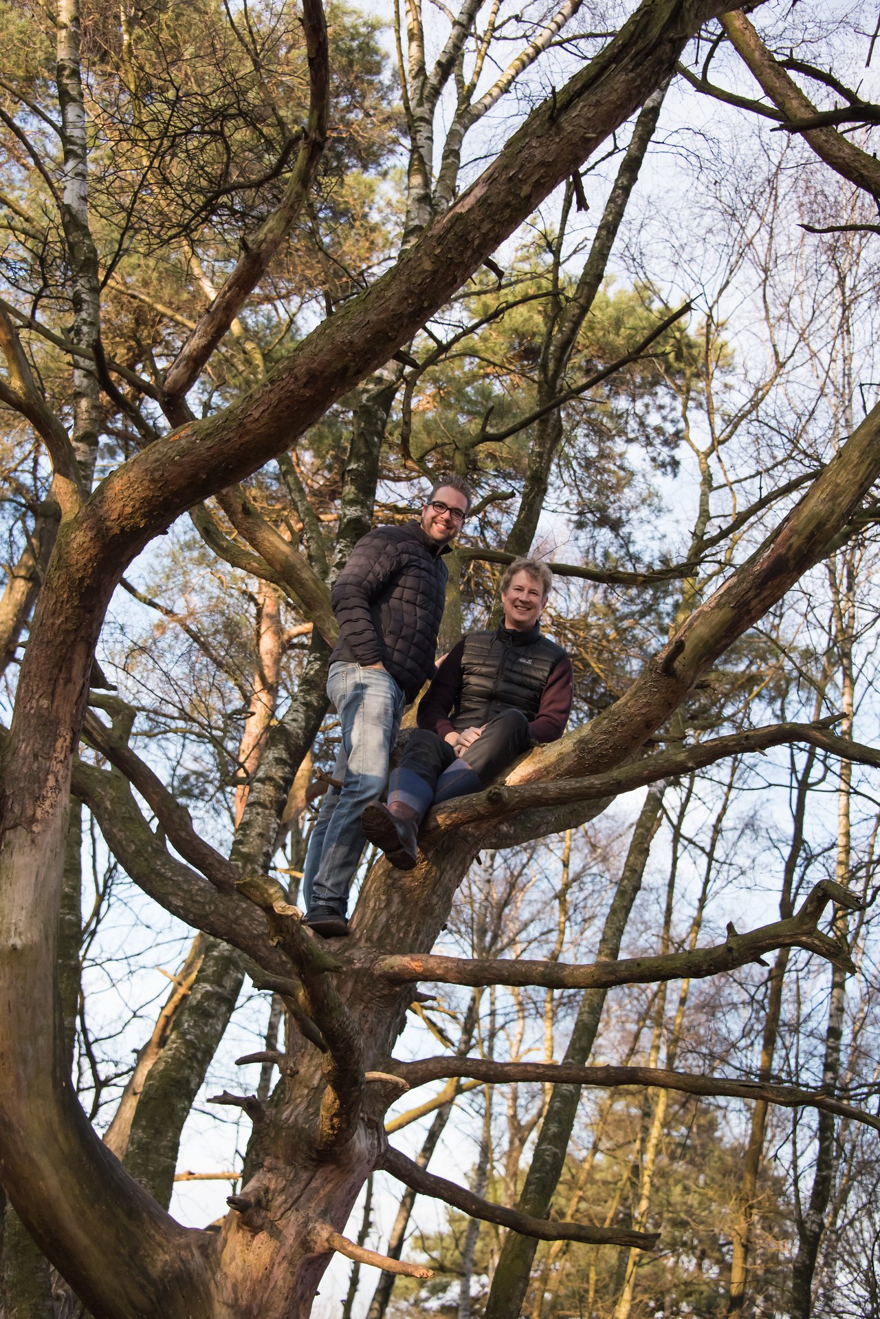Two people wearing jackets sit and stand on a large tree branch in a forested area.