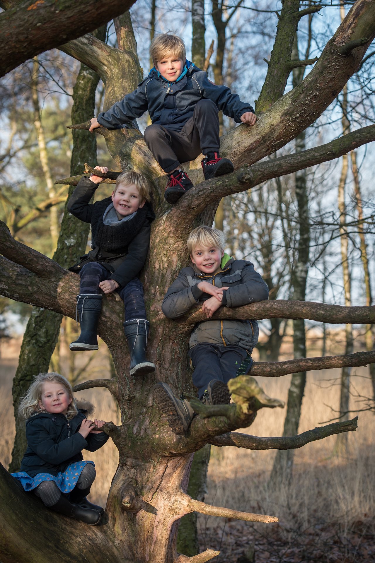 Four children climb and sit on a large tree, smiling and posing in a wooded area during daytime.