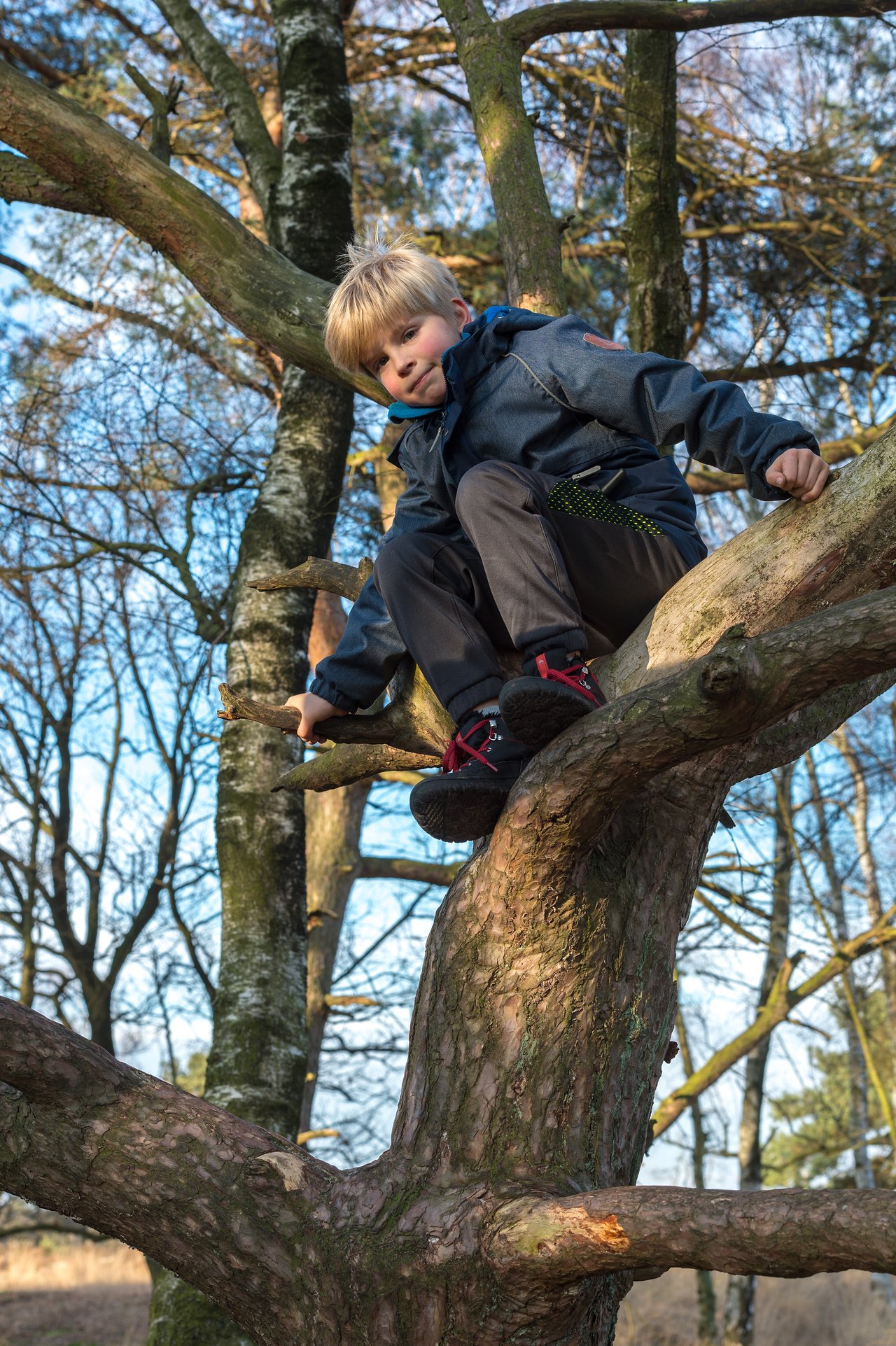A child in a dark jacket and red shoes sits on a tree branch, looking down.