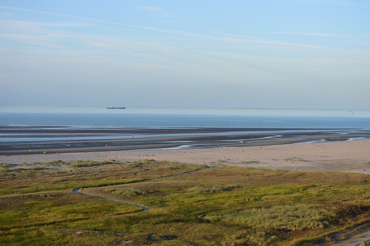 A sandy beach with scattered people, shallow water, and a distant cargo ship on the calm sea.