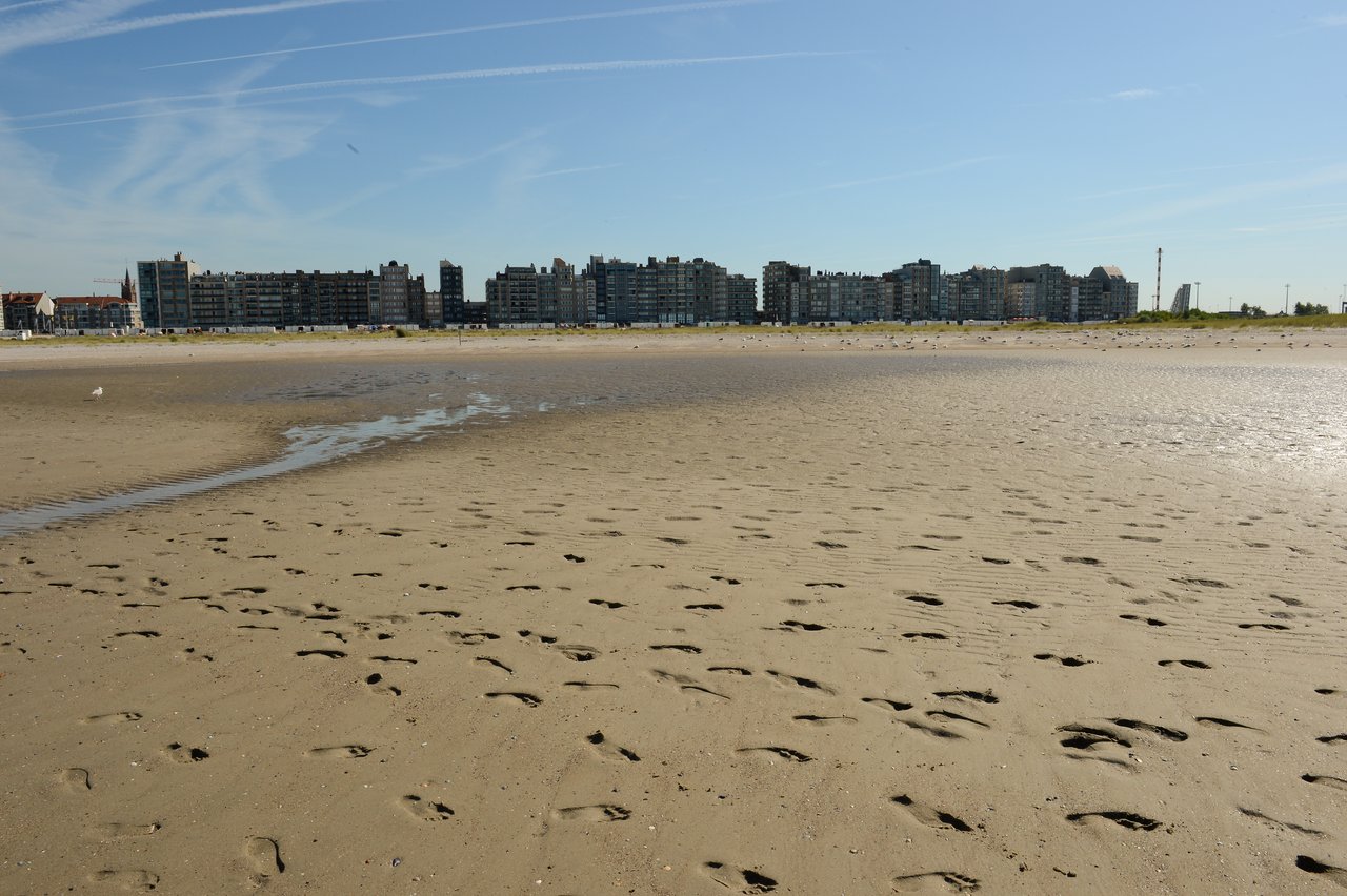 Sandy beach with footprints, shallow water, and a row of buildings in the background under a clear sky.