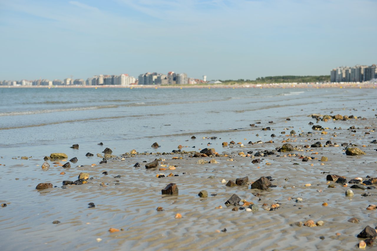 A sandy beach with scattered rocks and shallow water, with a city skyline visible in the background.