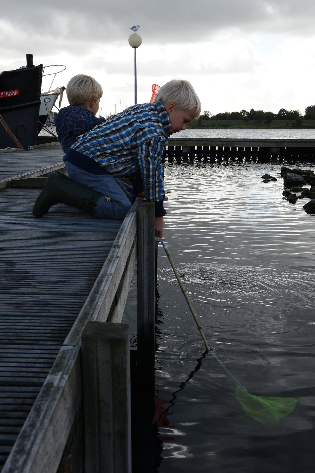 Two young boys on a wooden dock, one leaning over with a net in the water.