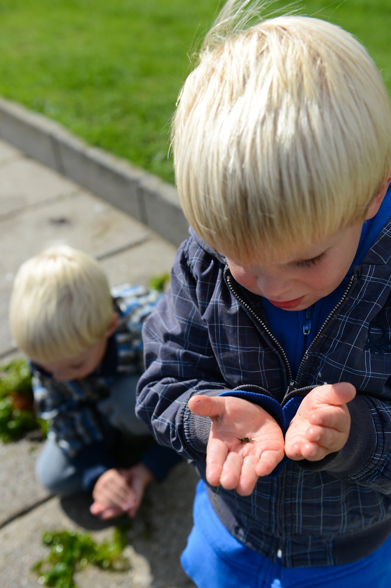 A young child holds a small insect in their hands while another child examines the ground nearby.