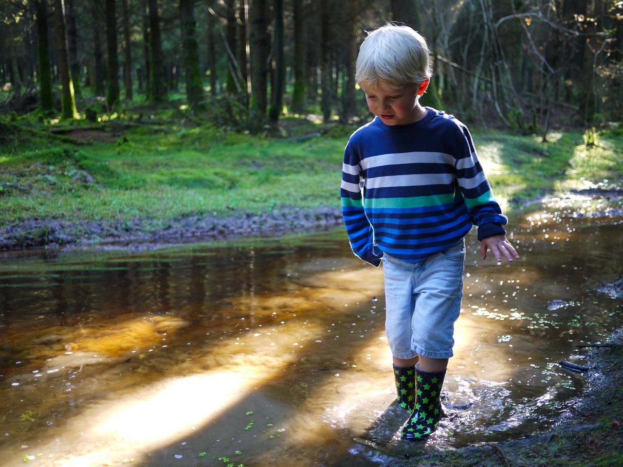 A young child in rain boots walks through a shallow puddle in a forest, looking down at the water.