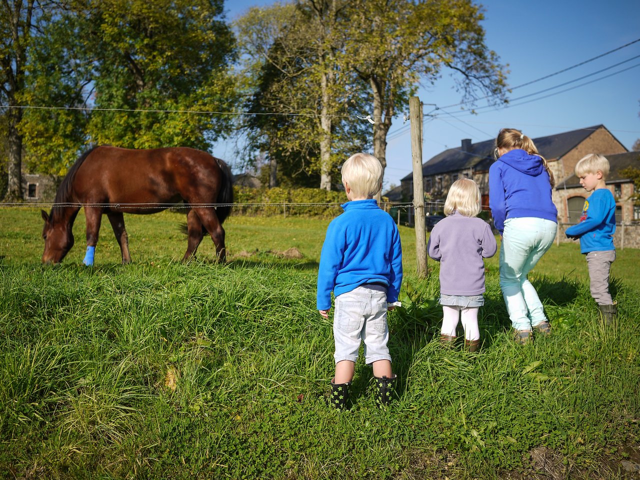 Four children stand near a fence, watching a brown horse grazing in a grassy field.