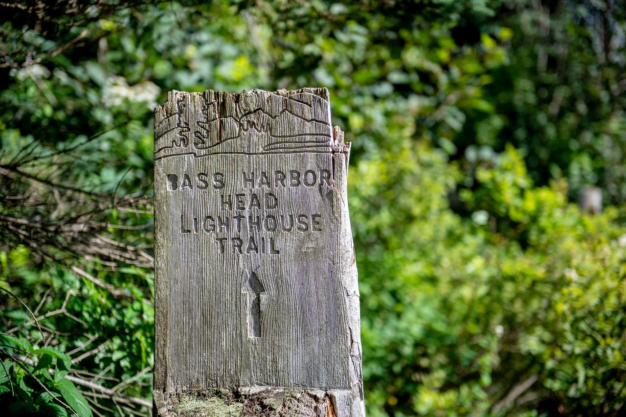 A wooden trail sign carved with "Bass Harbor Head Lighthouse Trail" and an arrow pointing forward.