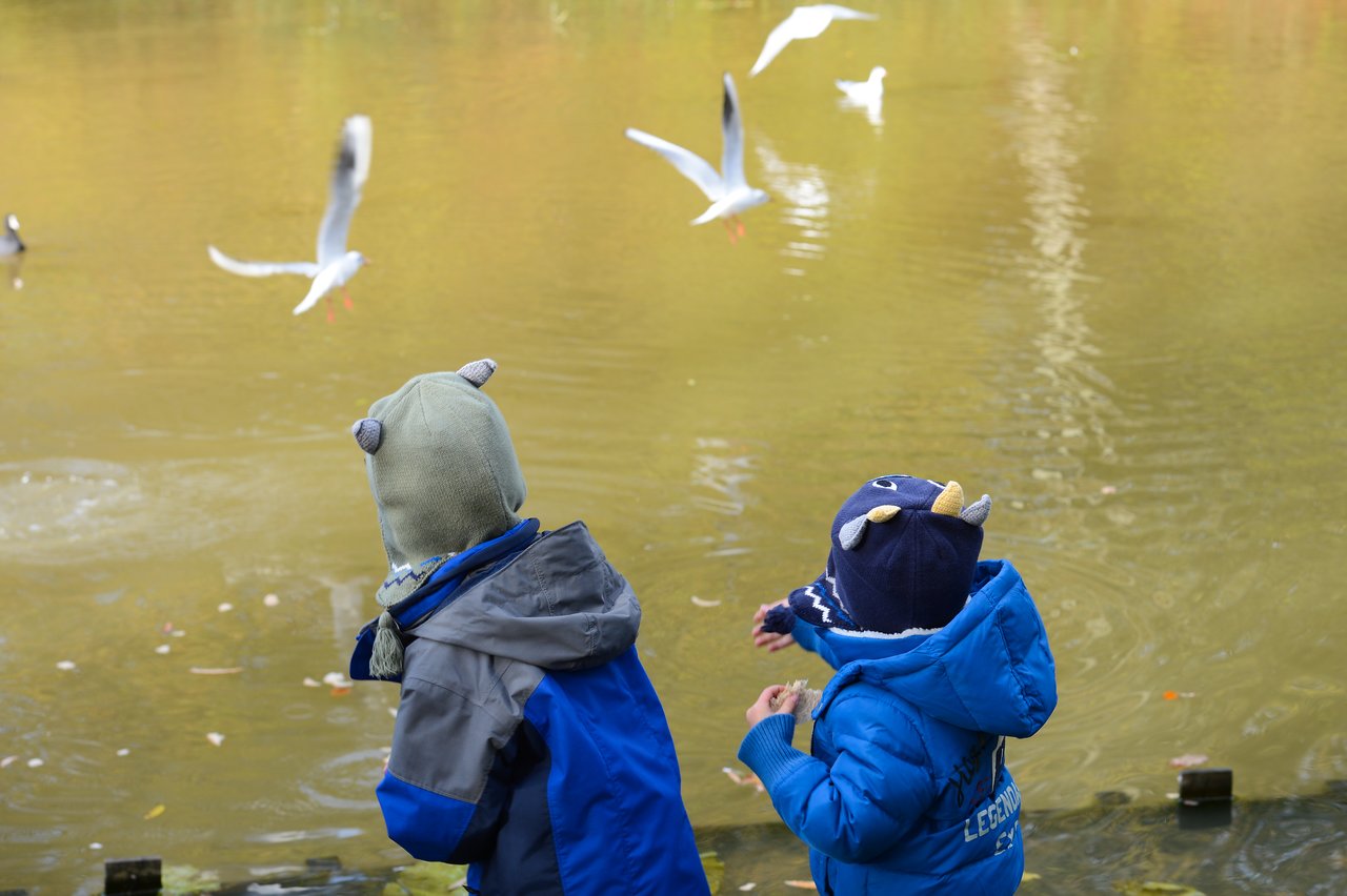 Two children in warm jackets and hats stand by a pond, watching and feeding seagulls flying above the water.