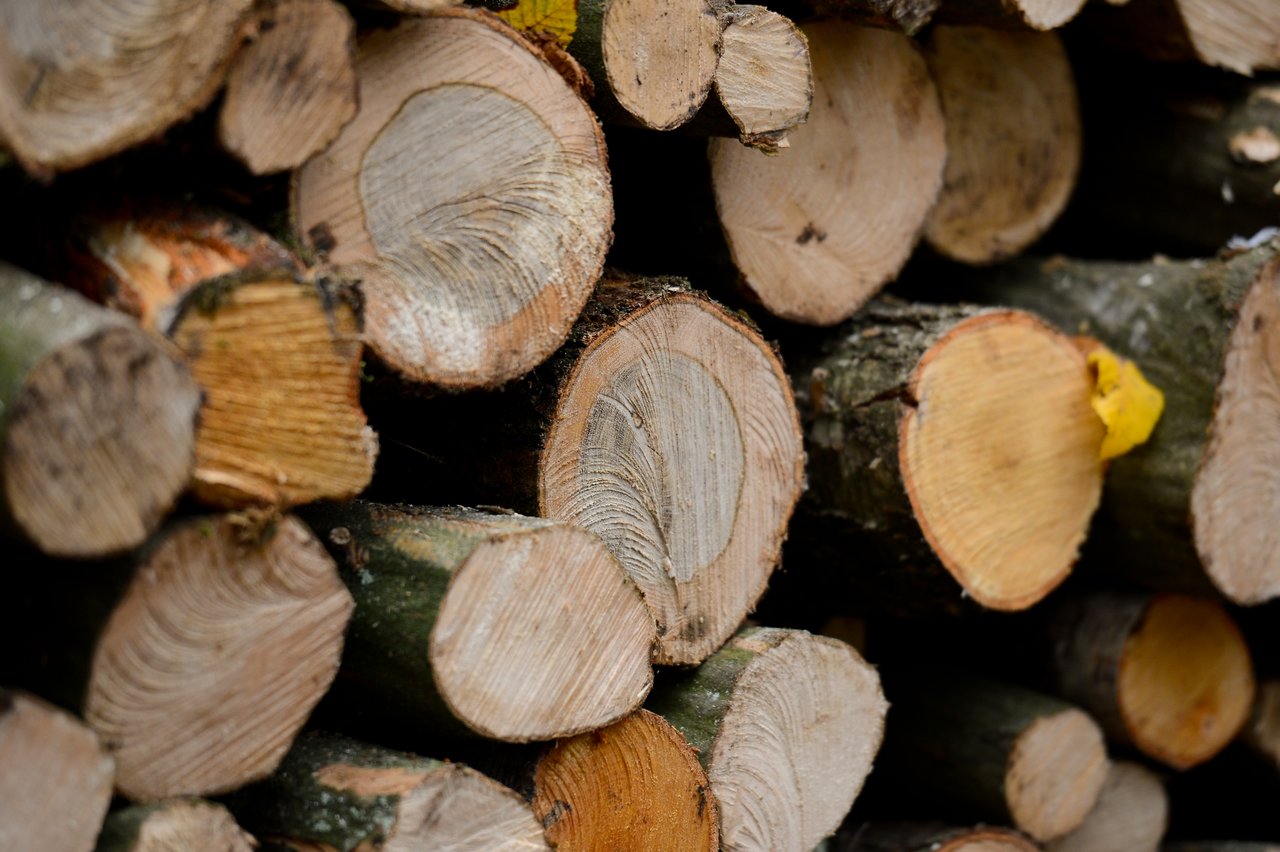 A stack of freshly cut logs with visible tree rings and rough bark, arranged closely together.