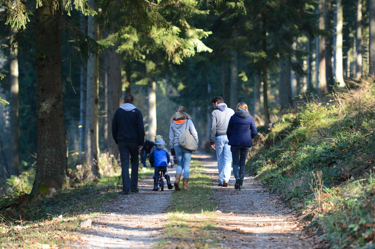 A group of people, including a child on a bike, walk along a forest path in daylight.