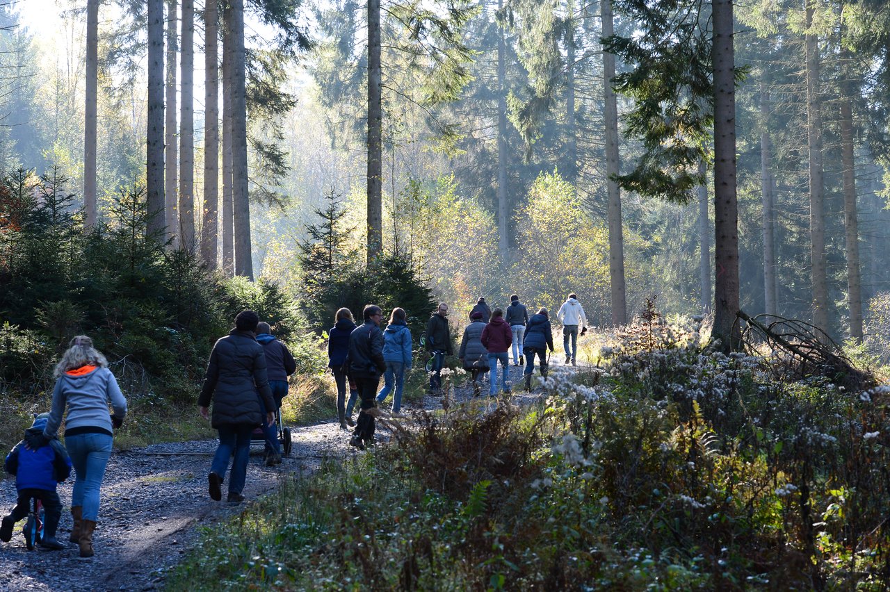 A group of people walks along a forest path, some with children and a dog, on a sunny day.