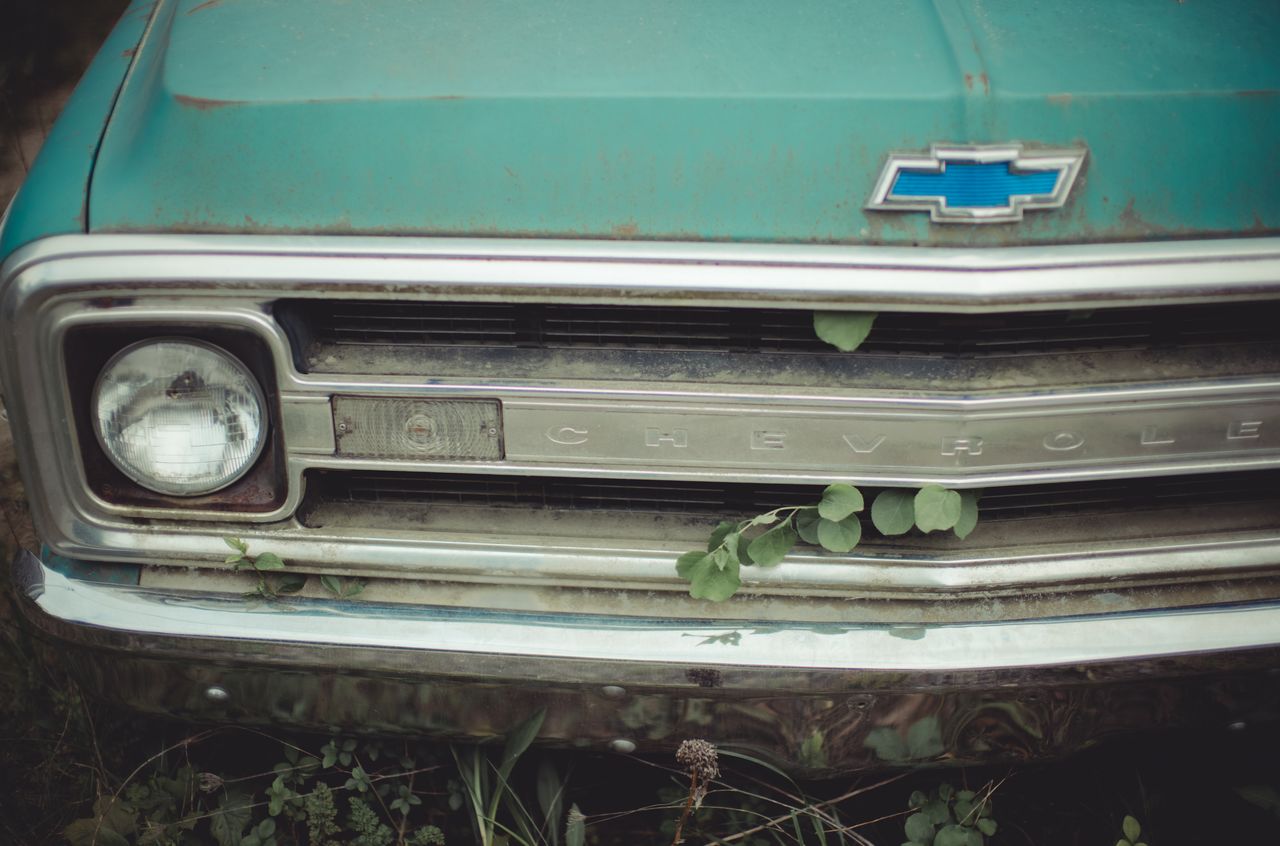 Close-up of an old green Chevrolet truck with rust and plants growing through the front grille.