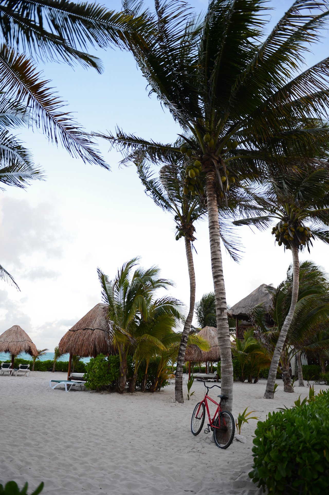A red bicycle leans against a palm tree on a sandy beach with thatched-roof huts and lounge chairs.