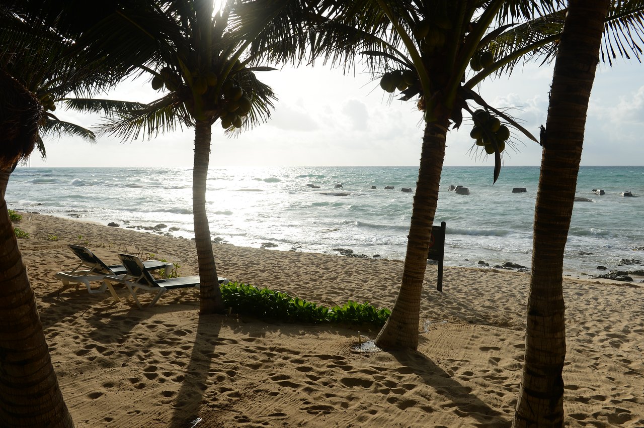 Two lounge chairs on a sandy beach under palm trees, facing the ocean with waves and scattered rocks.