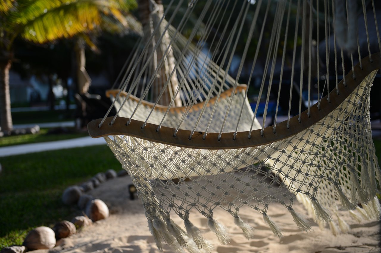 A woven hammock hangs over a sandy area, surrounded by grass and palm trees in an outdoor setting.