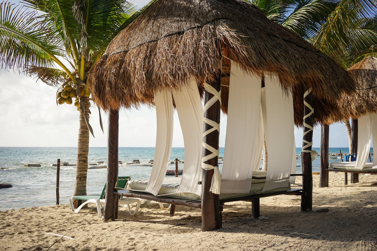 Thatched-roof beach beds with white curtains on a sandy shore, facing the ocean with palm trees nearby.