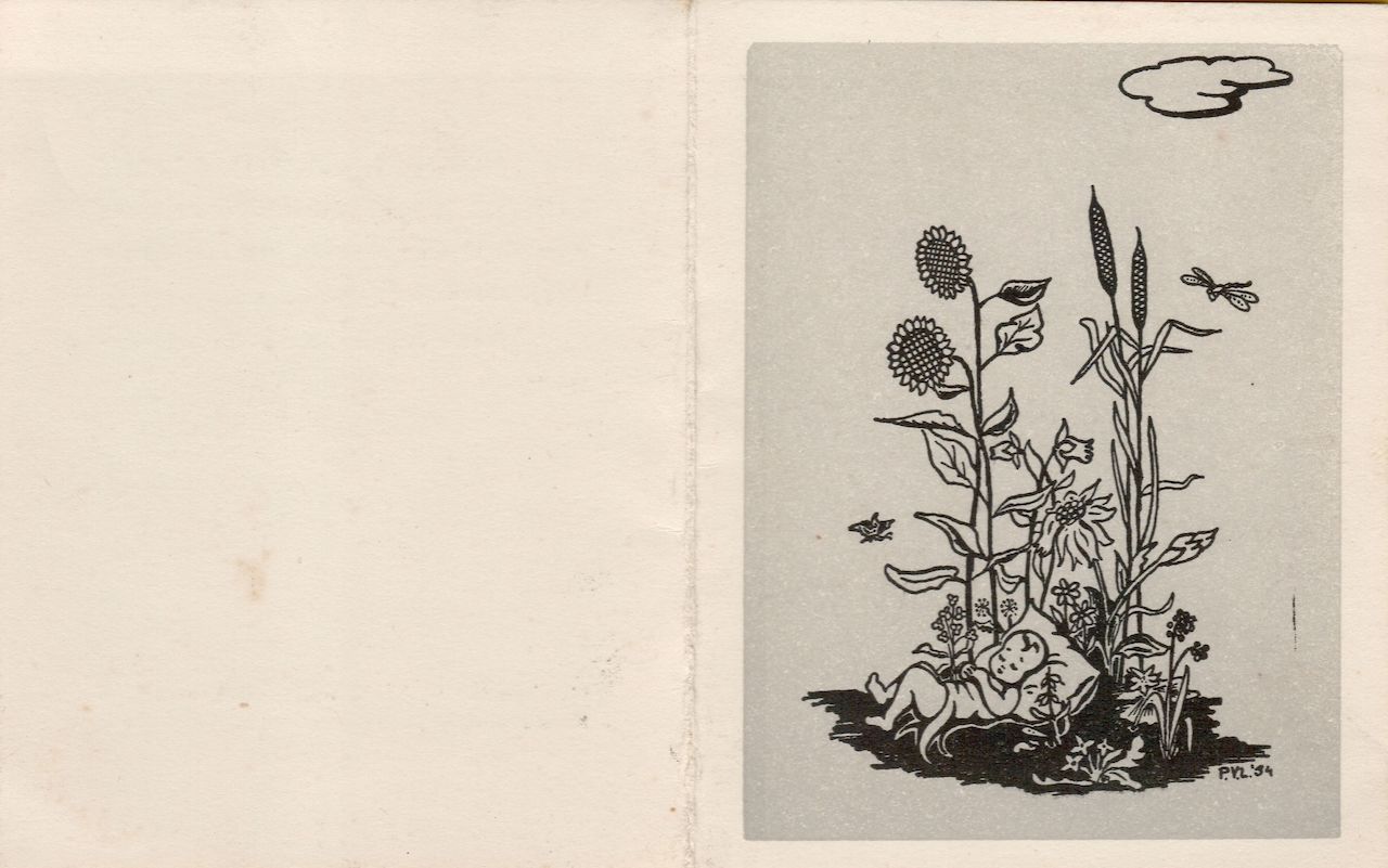 A birth announcement card featuring an illustration of a baby lying among tall flowers, with insects flying nearby.