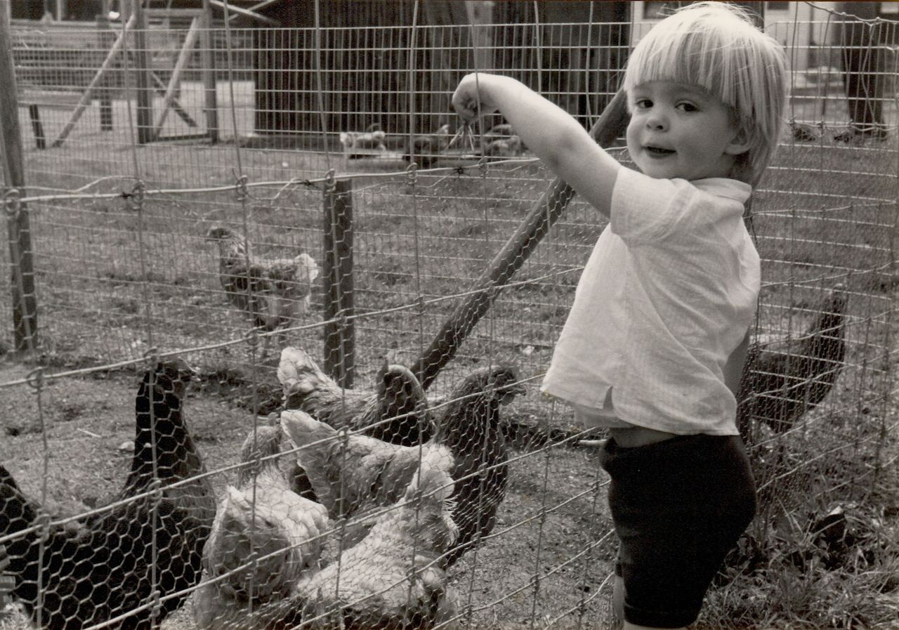 A young child smiles while feeding chickens through a wire fence at a farm or animal enclosure.