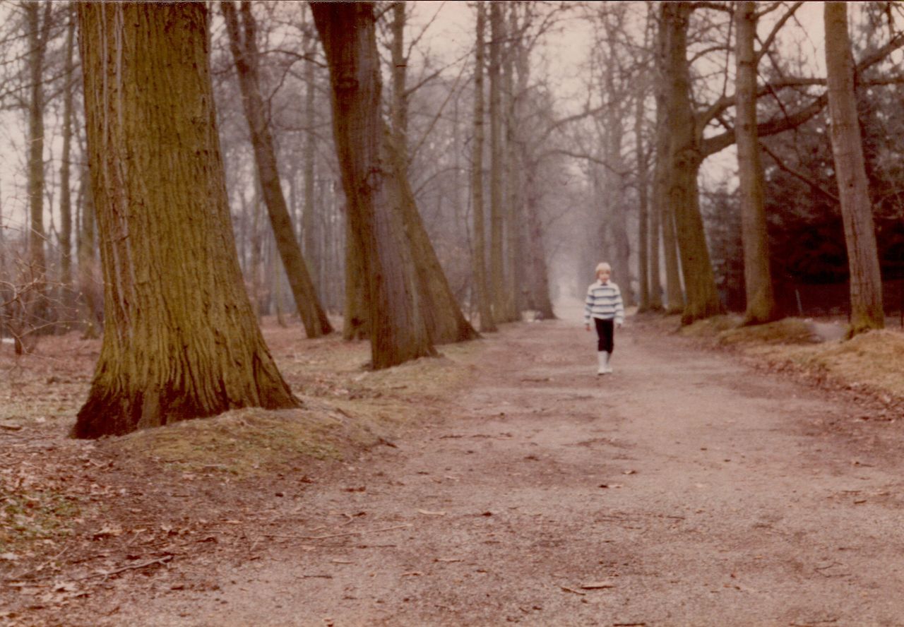 A child in a striped sweater walks along a dirt path in a park lined with tall, bare trees.